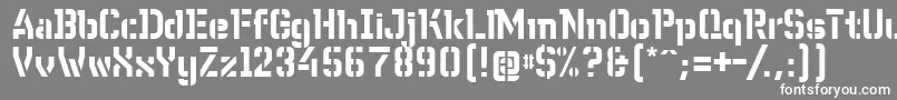 Шрифт WcWunderbachBtaDemibold – белые шрифты на сером фоне