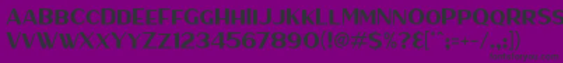 HaarlemSans Font – Black Fonts on Purple Background