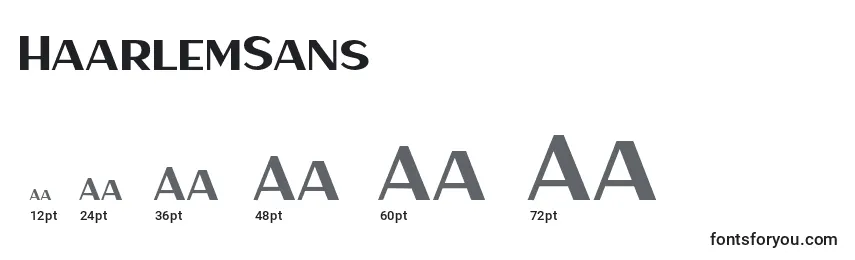 Размеры шрифта HaarlemSans