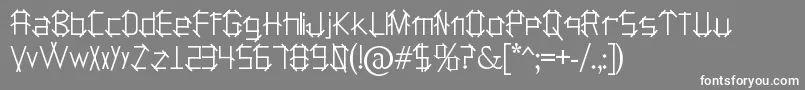 フォントHolitterPlan – 灰色の背景に白い文字