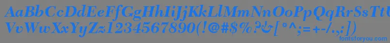 フォントTycoonBlackSsiBoldItalic – 灰色の背景に青い文字