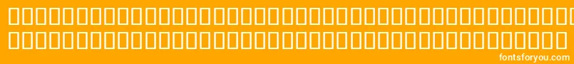 EversonMonoLatin6 Font – White Fonts on Orange Background