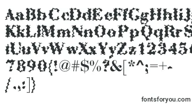  AbctechBodoniCactus font
