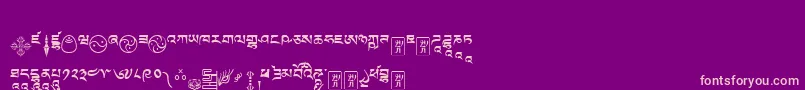 Tibetanmachineweb9 Font – Pink Fonts on Purple Background