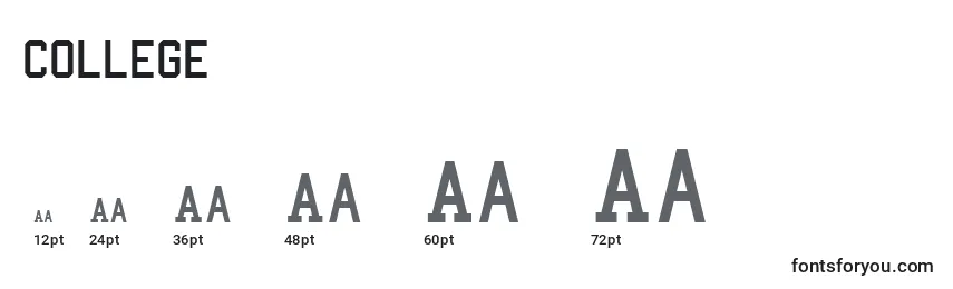 College Font Sizes
