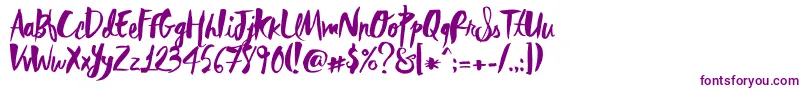 RebelHeartMadonna Font – Purple Fonts on White Background