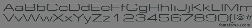 EuropeExt130 Font – Black Fonts on Gray Background