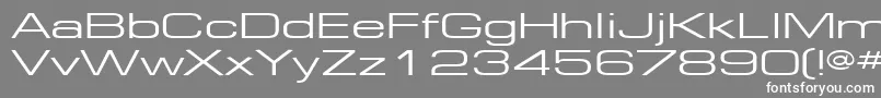 フォントEuropeExt130 – 灰色の背景に白い文字