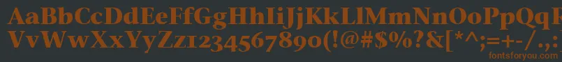 StoneSerifOsItcTtBold Font – Brown Fonts on Black Background