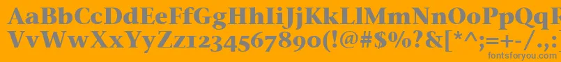 フォントStoneSerifOsItcTtBold – オレンジの背景に灰色の文字