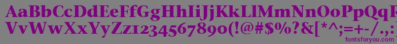 StoneSerifOsItcTtBold Font – Purple Fonts on Gray Background