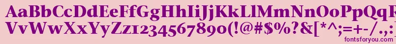 StoneSerifOsItcTtBold Font – Purple Fonts on Pink Background