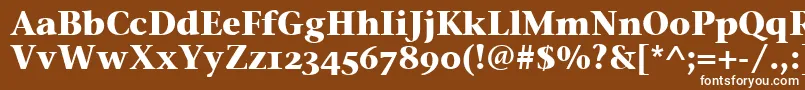 フォントStoneSerifOsItcTtBold – 茶色の背景に白い文字