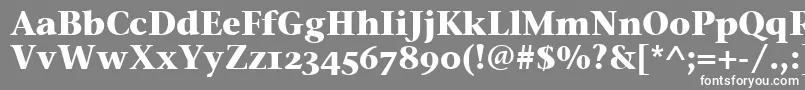 フォントStoneSerifOsItcTtBold – 灰色の背景に白い文字