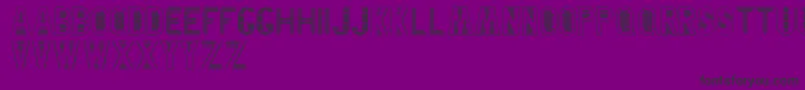 BlankenshipFinalType Font – Black Fonts on Purple Background