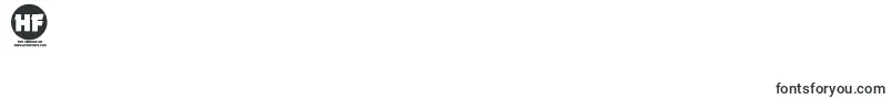 NeotericBoldDemoVersion Font – Fonts for Digit 8