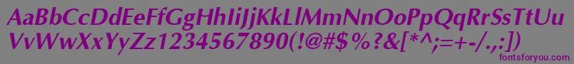 OptimaBoldItalic Font – Purple Fonts on Gray Background