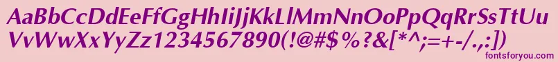 OptimaBoldItalic Font – Purple Fonts on Pink Background