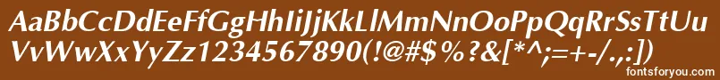 OptimaBoldItalic Font – White Fonts on Brown Background