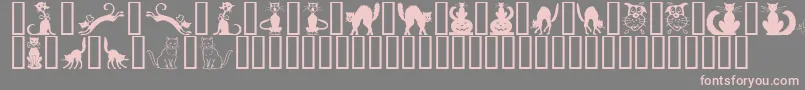 BorderCats Font – Pink Fonts on Gray Background