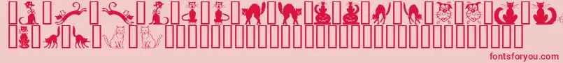 BorderCats Font – Red Fonts on Pink Background