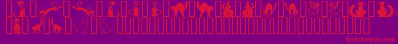 BorderCats Font – Red Fonts on Purple Background