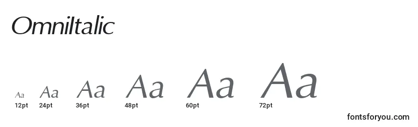 Размеры шрифта OmniItalic