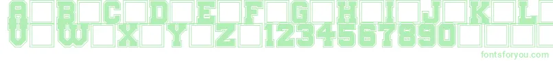 BigCampus Font – Green Fonts