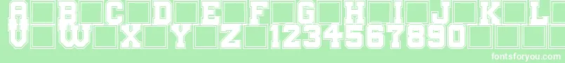 BigCampus Font – White Fonts on Green Background