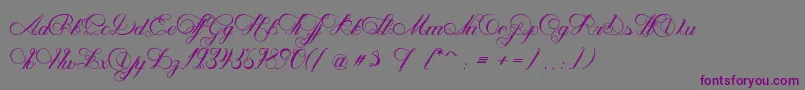 NenupharOfVenus-fontti – violetit fontit harmaalla taustalla
