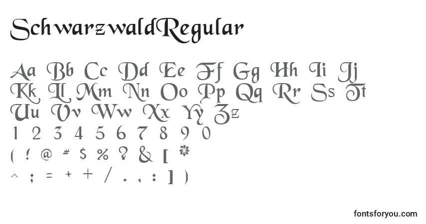 Czcionka SchwarzwaldRegular – alfabet, cyfry, specjalne znaki