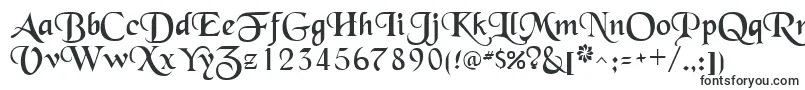 Шрифт SchwarzwaldRegular – шрифты, поддерживающие различные языки
