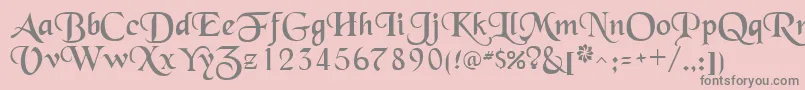 SchwarzwaldRegular Font – Gray Fonts on Pink Background