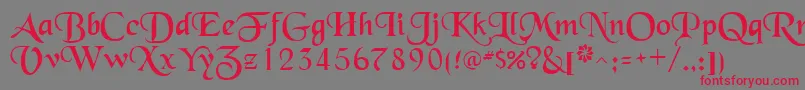 フォントSchwarzwaldRegular – 赤い文字の灰色の背景