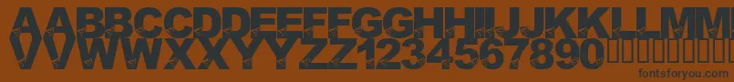 LmsBirdBrain Font – Black Fonts on Brown Background