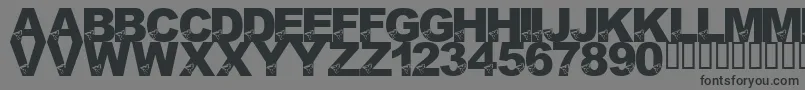 LmsBirdBrain Font – Black Fonts on Gray Background