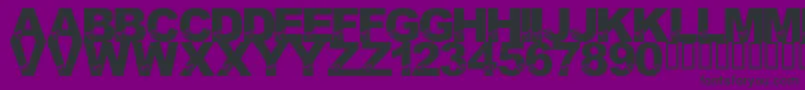 LmsBirdBrain Font – Black Fonts on Purple Background