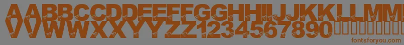 LmsBirdBrain Font – Brown Fonts on Gray Background