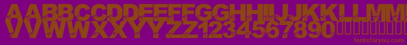 LmsBirdBrain-fontti – ruskeat fontit violetilla taustalla