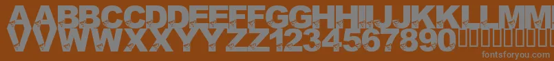 LmsBirdBrain Font – Gray Fonts on Brown Background