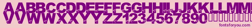 LmsBirdBrain Font – Purple Fonts on Pink Background