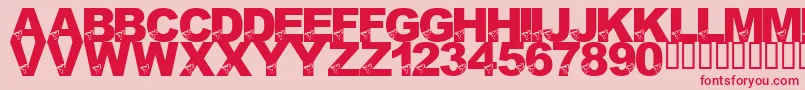 LmsBirdBrain Font – Red Fonts on Pink Background