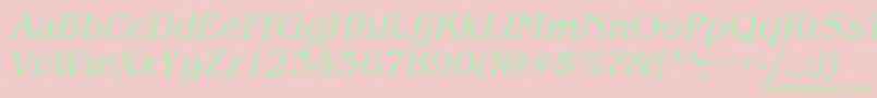 BenguiatitcteeItalic Font – Green Fonts on Pink Background