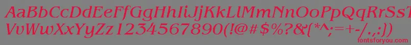 Czcionka BenguiatitcteeItalic – czerwone czcionki na szarym tle