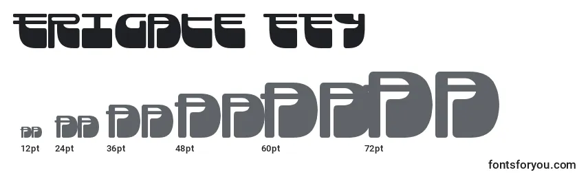 Frigate ffy Font Sizes
