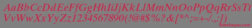 TimestenltstdItalic Font – Red Fonts on Gray Background