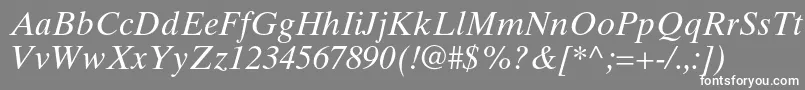 フォントTimestenltstdItalic – 灰色の背景に白い文字