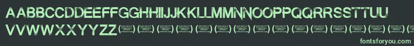 SummontheexecutionerRegula Font – Green Fonts on Black Background