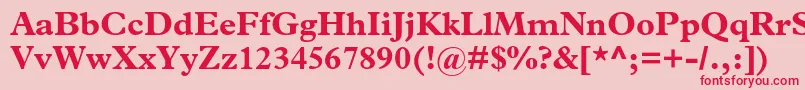 PlantinstdBold Font – Red Fonts on Pink Background