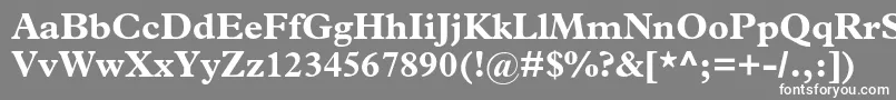 フォントPlantinstdBold – 灰色の背景に白い文字